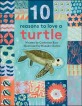 10 Reasons to love an... Turtle
