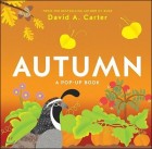 Autumn : A pop-up book 표지이미지