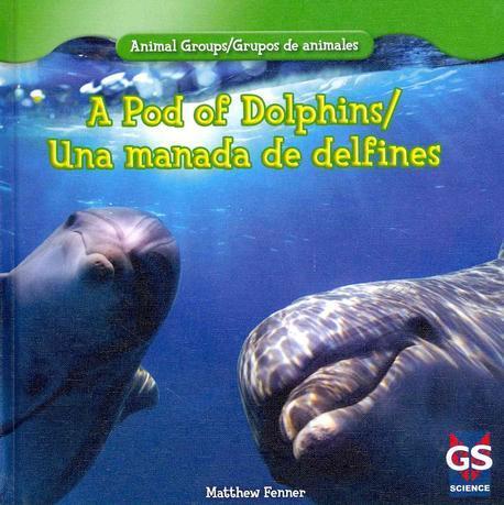 Una manada de delfines 