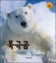 북극곰