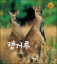 캥거루