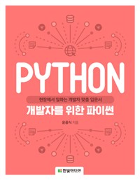 개발자를 위한 파이썬 : 현장에서 일하는 개발자 맞춤 입문서