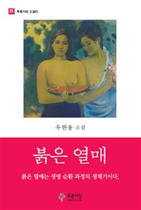 붉은 열매 : 우한용 소설  