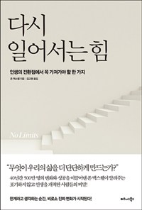 다시 일어서는 힘 : 인생의 전환점에서 꼭 가져가야 할 한 가지