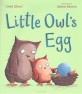 Little Owl's Egg (Hardcover)