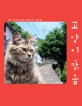 고양이 맑음 - 일본 아이노시마 고양이섬 사진집
