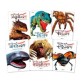 진짜 진짜 재밌는 그림책 세트 - 전6권 (특별 한정판) - 공룡.바다.파충류.곤충.육식동물.거미