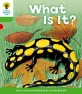 Oxford Reading Tree: Level 2: More Patterned Stories A: What is it? (Paperback)