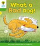 Oxford Reading Tree: Level 2: Stories: What a Bad Dog! (Paperback)