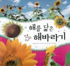 해를 닮은 해바라기 표지이미지