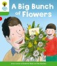 Oxford Reading Tree: Level 2 More A Decode and Develop a Big Bunch of Flowers (Paperback)