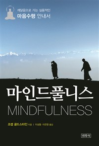 마인드풀니스  = Mindfulness : 깨달음으로 가는 실용적인 마음수행 안내서