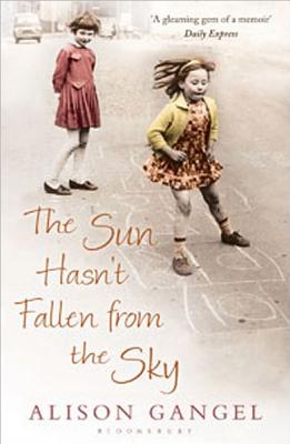 (The) sun hasnt fallen from the sky : (A) memoir