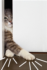 거실의 사자 - [전자책]  : 고양이는 어떻게 인간을 길들이고 세계를 정복했을까
