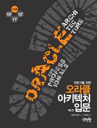 (전문가를 위한)오라클 아키텍처 입문