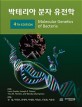박테리아 분자 유전학