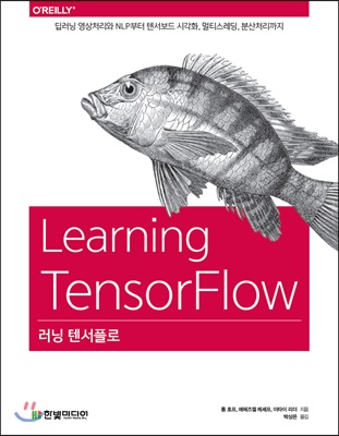 딥러닝의 정석 : 텐서플로와 최신 기법으로 배우는 딥러닝 알고리즘 설계