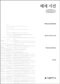 헤세 시선 : 큰글씨책 표지이미지