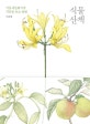 식물 산책 (식물세밀화가가 식물을 보는 방법)