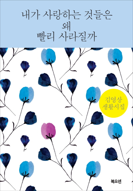내가 사랑하는 것들은 왜 빨리 사라질까 : 김영상 생활시집