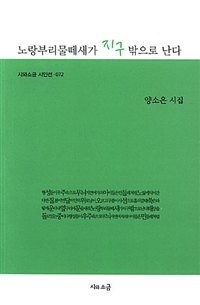 노랑부리물떼새가 지구 밖으로 난다 : 양소은 시집 표지이미지