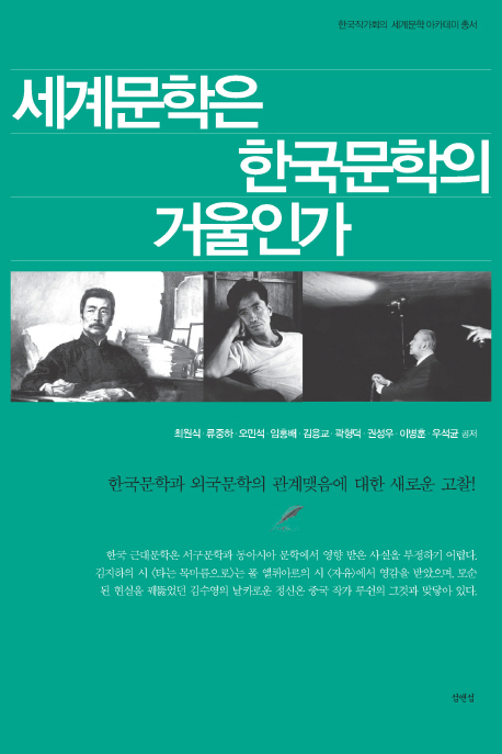 세계문학은 한국문학의 거울인가 : 한국문학과 외국문학의 관계맺음에 대한 새로운 고찰!