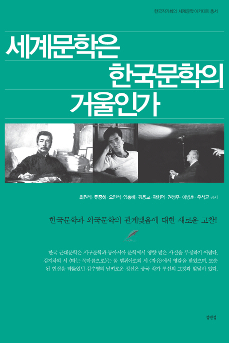 세계문학은 한국문학의 거울인가 : 한국문학과 외국문학의 관계맺음에 대한 새로운 고찰