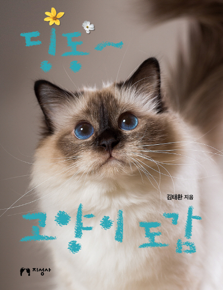 (딩동~)고양이 도감