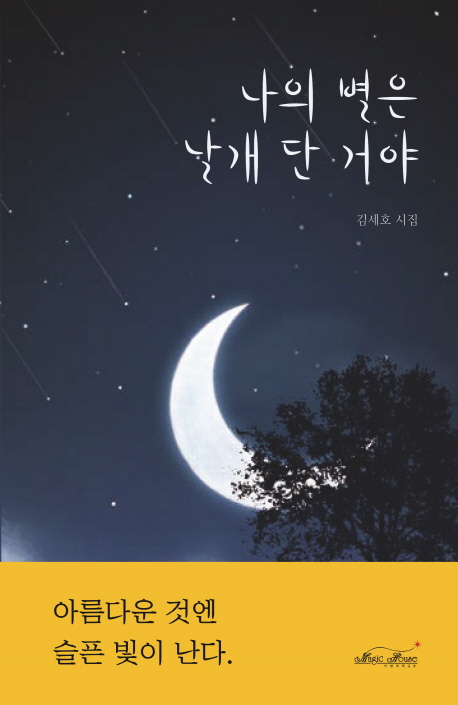나의 별은 날개 단 거야- [전자책] : 김세호 시집