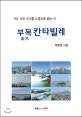 부목 칸타빌레  : 자유 낭만 은유를 느낌으로 읽는 시  : 박준영 시집