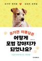 유기견 이뽕실은 어떻게 모범 강아지가 되었나요? : 초간단 핵저렴 강아지 훈련법 