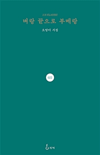 벼랑 끝으로 부메랑 : 오영미 시집 표지이미지