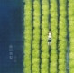 숨바꼭질 : 김정선 그림책