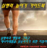 실행력 높이기 가이드북 - [전자책]  : 실행력과 행동력 그리고 에너지레벨을 상승시키기 위한 지침서