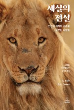 곰의전설 이미지