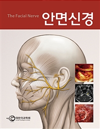 안면신경  = (The) facial nerve
