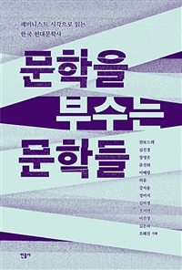 문학을 부수는 문학들  : 페미니스트 시각으로 읽는 한국 현대문학사