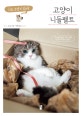고양이 니들펠트 (양모를 바늘로 콕콕 찔러 나만의 고양이 만들기)