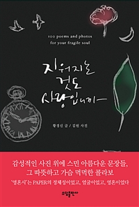 지워지는 것도 사랑입니까 : 100 Poems and Photos for Your Fragile Soul