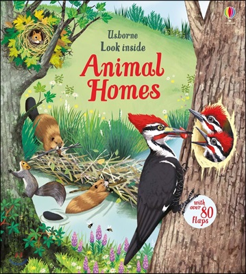 Usborne Look inside Animal Homes