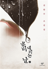봄비 내리는 날 : 김한수 소설집. 2
