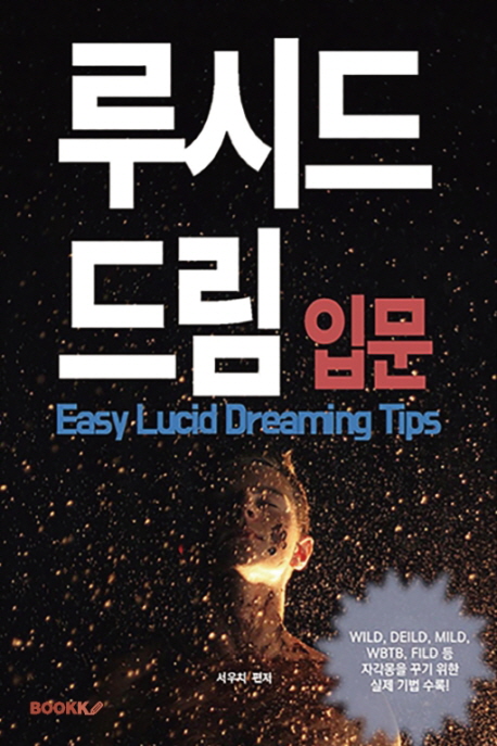 루시드 드림 입문