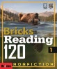Bricks Reading 120 1 (Non-Fiction)