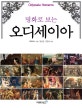 명화로 보는 오디세이아