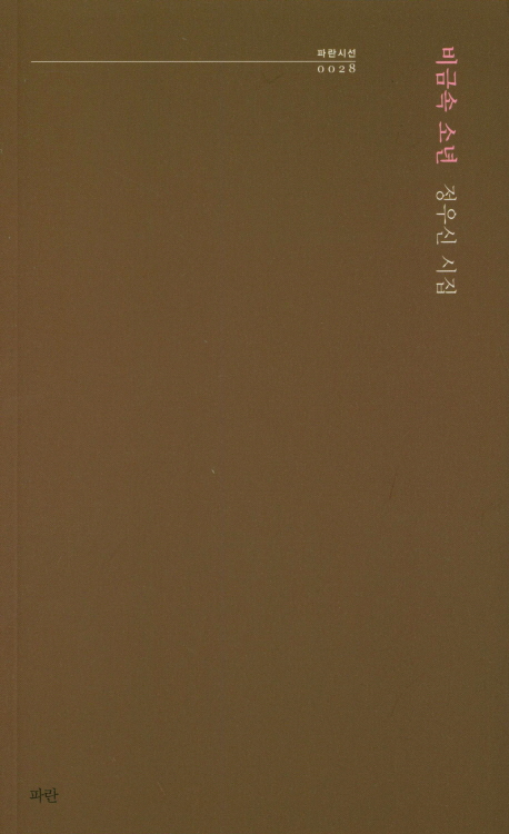 비금속 소년 (정우신 시집)