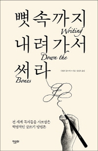 뼛속까지 내려가서 써라  : 전 세계 독자들을 사로잡은 혁명적인 글쓰기 방법론