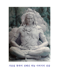 가슴을 통하여 전해진 하늘 아버지의 전갈- [전자책]