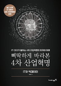 삐딱하게 바라본 4차 산업혁명 : IT와 빅데이터 : IT CEO가 말하는 4차 산업혁명의 현재와 미래