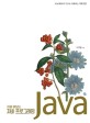 (처음 <span>해</span>보는) 자바 프로그래밍  = Java  : JVM 메모리 구조로 <span>이</span><span>해</span>하는 객체지향