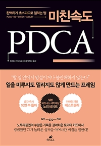 미친속도 PDCA : 완벽하게 초스피드로 일하는 법